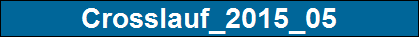 Crosslauf_2015_05