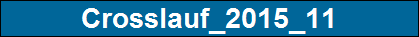 Crosslauf_2015_11