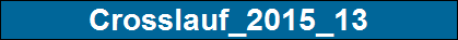 Crosslauf_2015_13