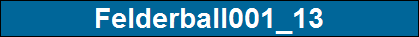 Felderball001_13