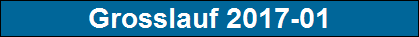Grosslauf 2017-01