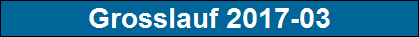 Grosslauf 2017-03