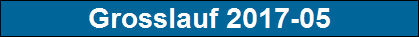 Grosslauf 2017-05