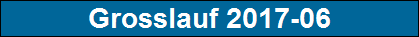 Grosslauf 2017-06