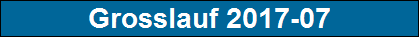 Grosslauf 2017-07