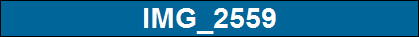 IMG_2559
