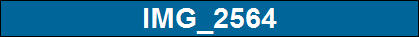 IMG_2564