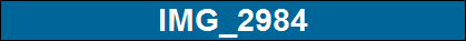 IMG_2984