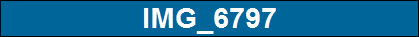 IMG_6797