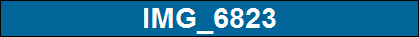 IMG_6823