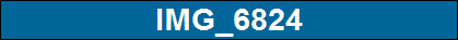 IMG_6824