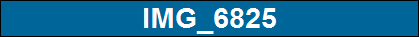 IMG_6825