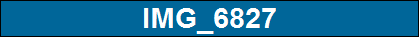 IMG_6827