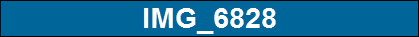 IMG_6828