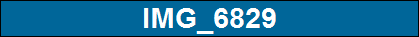 IMG_6829