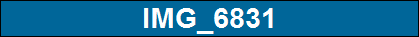 IMG_6831