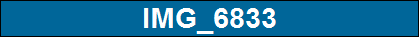 IMG_6833