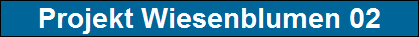 Projekt Wiesenblumen 02