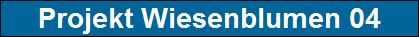 Projekt Wiesenblumen 04