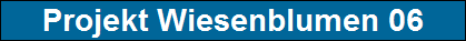 Projekt Wiesenblumen 06