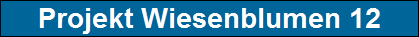 Projekt Wiesenblumen 12