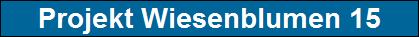 Projekt Wiesenblumen 15