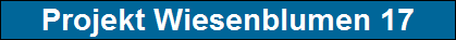 Projekt Wiesenblumen 17