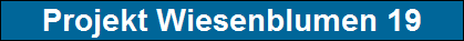 Projekt Wiesenblumen 19