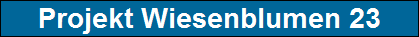 Projekt Wiesenblumen 23