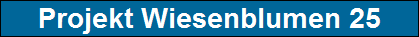 Projekt Wiesenblumen 25