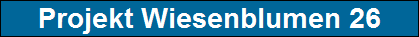 Projekt Wiesenblumen 26