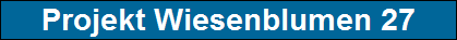 Projekt Wiesenblumen 27
