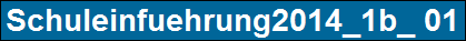 Schuleinfuehrung2014_1b_ 01