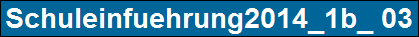 Schuleinfuehrung2014_1b_ 03