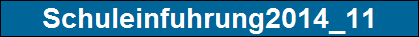 Schuleinfuhrung2014_11