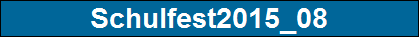 Schulfest2015_08
