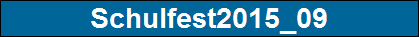 Schulfest2015_09