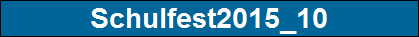 Schulfest2015_10