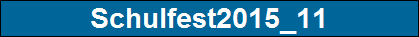 Schulfest2015_11