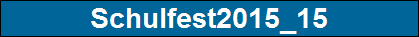 Schulfest2015_15