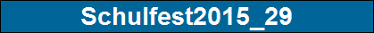 Schulfest2015_29