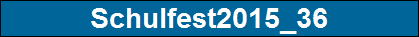 Schulfest2015_36