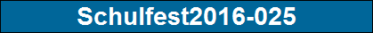 Schulfest2016-025