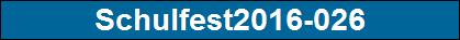 Schulfest2016-026
