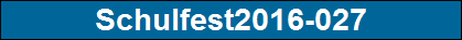 Schulfest2016-027