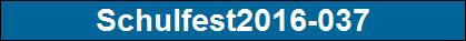 Schulfest2016-037