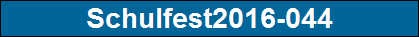 Schulfest2016-044