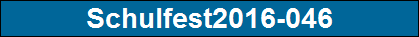 Schulfest2016-046