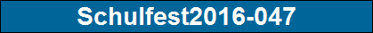 Schulfest2016-047
