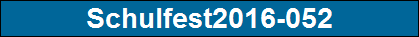 Schulfest2016-052
